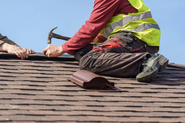Best Gutter Installation and Roofing  in Holly, MI
