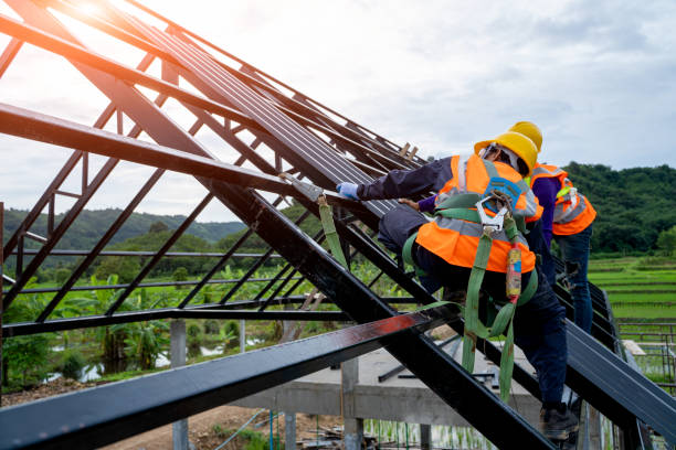 Best Roof Waterproofing Services  in Holly, MI