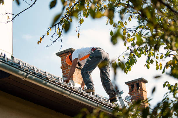 Best Residential Roofing Contractor  in Holly, MI