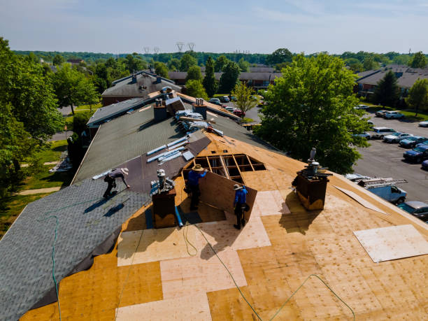 Best Roof Maintenance Services  in Holly, MI