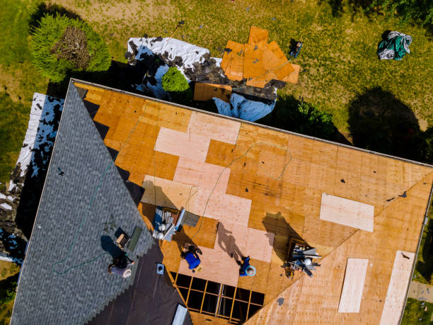 Best New Roof Installation  in Holly, MI