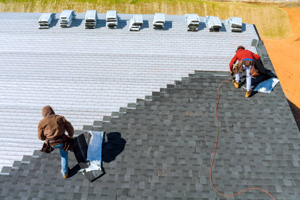 Best Roof Maintenance Services  in Holly, MI