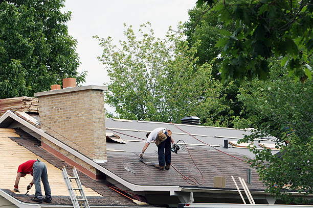 Best Storm Damage Roof Repair  in Holly, MI