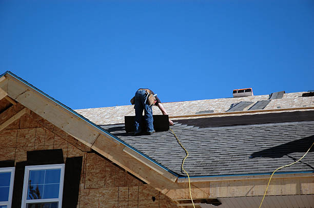 Best Residential Roofing Contractor  in Holly, MI
