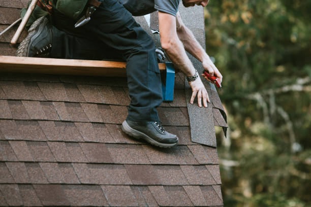 Best New Roof Installation  in Holly, MI