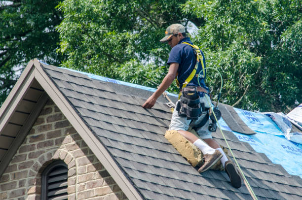 Professional Roofing Contractor in Holly, MI